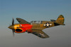 P-40 Warhawk flying over Chino, California Poster Print by Phil Wallick/Stocktrek Images - Item # VARPSTPWA100030M