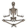 Front view of human skeleton meditating Poster Print by Elena Duvernay/Stocktrek Images - Item # VARPSTEDV700052H