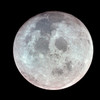 The Moon Poster Print by Stocktrek Images - Item # VARPSTSTK201223S