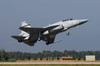 A Pakistan Air Force JF-17 in midair over Izmir, Turkey Poster Print by Daniele Faccioli/Stocktrek Images - Item # VARPSTDFC100222M