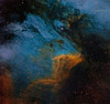The Pelican Nebula, an H II region in the constellation Cygnus Poster Print by Michael Miller/Stocktrek Images - Item # VARPSTMCM200005S