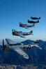 Formation of P-47 Thunderbolts flying over Chino, California Poster Print by Phil Wallick/Stocktrek Images - Item # VARPSTPWA100098M
