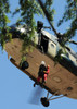 Participants rescue a person from a simulated burning building Poster Print by Stocktrek Images - Item # VARPSTSTK106436M