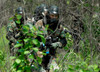 Soldiers walking through brush during training Poster Print by Stocktrek Images - Item # VARPSTSTK102725M
