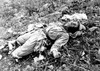 A Chinese soldier killed during the Korean War Poster Print by Stocktrek Images - Item # VARPSTSTK106003M