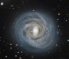 NGC 4921, a barred spiral galaxy in the Coma Cluster Poster Print by Roberto Colombari/Stocktrek Images - Item # VARPSTRCM200025S