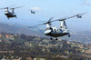 CH-46E Sea Knight helicopters fly over San Diego, California Poster Print by Stocktrek Images - Item # VARPSTSTK108611M