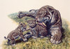 Smilodon sabertooth mother and her cubs Poster Print by Mark Hallett/Stocktrek Images - Item # VARPSTMRH600002P