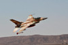 An F-16A Netz of the Israeli Air Force in flight over Israel Poster Print by Ofer Zidon/Stocktrek Images - Item # VARPSTZDN100038M