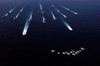 US Navy aircraft fly over a formation of US and Japanese ships Poster Print by Stocktrek Images - Item # VARPSTSTK101686M