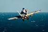 Rear view of an F/A-18C Hornet taking off Poster Print by Stocktrek Images - Item # VARPSTSTK105529M