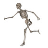 Front view of human skeleton running Poster Print by Elena Duvernay/Stocktrek Images - Item # VARPSTEDV700048H