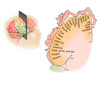 Human brain showing the layout of the sensory cortex Poster Print by TriFocal Communications/Stocktrek Images - Item # VARPSTTRF700019H