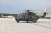 NH90 helicopter of the German Air Force at Holzdorf Air Base, Germany Poster Print by Timm Ziegenthaler/Stocktrek Images - Item # VARPSTTZG100230M