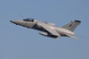 Italian Air Force AMX aircraft taking off Poster Print by Timm Ziegenthaler/Stocktrek Images - Item # VARPSTTZG100187M