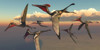 A flock of Pterodactylus pterosaurs flying in the sky Poster Print by Corey Ford/Stocktrek Images - Item # VARPSTCFR200927P