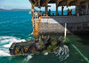 An amphibious assault vehicle enters the well deck of USS Tortuga Poster Print by Stocktrek Images - Item # VARPSTSTK107633M