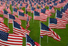 An abundance of American Flags Poster Print by Stocktrek Images - Item # VARPSTSTK105668M