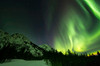 Northern lights over Annie Lake Road, Yukon, Canada Poster Print by Philip Hart/Stocktrek Images - Item # VARPSTPHA100030S