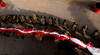 Airmen carrying a 100-yard-by-50-yard American flag Poster Print by Stocktrek Images - Item # VARPSTSTK102088M