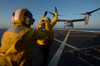 Aviation Boatswain's Mates direct an MV-22 Osprey on the flight deck Poster Print by Stocktrek Images - Item # VARPSTSTK107524M