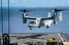 An MV-22 Osprey lands on the flight deck of USS Germantown Poster Print by Stocktrek Images - Item # VARPSTSTK107739M