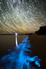 Star trails and bioluminescence, Gippsland Lakes, Australia Poster Print by Philip Hart/Stocktrek Images - Item # VARPSTPHA100055S