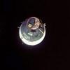The Gemini 7 spacecraft Poster Print by Stocktrek Images - Item # VARPSTSTK201201S