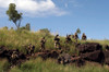 Marines patrol the Australian outback Poster Print by Stocktrek Images - Item # VARPSTSTK102057M