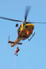 CH-146 Griffon helicopter of the Canadian Air Force Poster Print by Timm Ziegenthaler/Stocktrek Images - Item # VARPSTTZG100363M