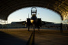 Front view of a US Air Force F-15E Strike Eagle aircraft Poster Print by Stocktrek Images - Item # VARPSTSTK104074M