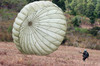 The wind pushes a Honduran soldier's chute after he lands safely Poster Print by Stocktrek Images - Item # VARPSTSTK102660M
