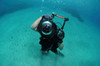 A combat photographer familiarizes himself with an underwater camera Poster Print by Stocktrek Images - Item # VARPSTSTK105607M