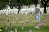 A family member pays his respects at a grave site Poster Print by Stocktrek Images - Item # VARPSTSTK101509M