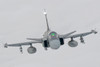 A Hungarian Air Force JAS-39 Gripen over Lithuania Poster Print by Giovanni Colla/Stocktrek Images - Item # VARPSTGCA100381M
