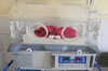 Newborn Afghan baby in incubator Poster Print by VWPics/Stocktrek Images - Item # VARPSTVWP700125H