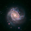 Barred spiral galaxy Messier 83 Poster Print by Stocktrek Images - Item # VARPSTSTK204318S