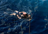Damage Controlman performs training on search and rescue techniques Poster Print by Stocktrek Images - Item # VARPSTSTK105584M