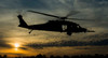 A US Army UH-60 Black Hawk leaves the drop zone Poster Print by Stocktrek Images - Item # VARPSTSTK108846M