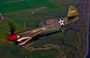 A P-40E Warhawk in flight Poster Print by Scott Germain/Stocktrek Images - Item # VARPSTSGR100069M