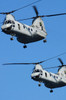 Two US Marine Corps CH-46E Sea Knight helicopters in flight Poster Print by Stocktrek Images - Item # VARPSTSTK104015M