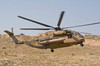 A CH-53 Yasur 2000 of the Israeli Air Force landing in the field Poster Print by Ofer Zidon/Stocktrek Images - Item # VARPSTZDN100181M