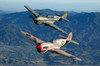 P-40 Warhawks flying over Chino, California Poster Print by Phil Wallick/Stocktrek Images - Item # VARPSTPWA100031M