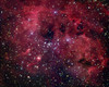 IC 410 emission nebula in Auriga Poster Print by Robert Gendler/Stocktrek Images - Item # VARPSTGEN100008S