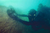 US Navy SEAL combat swimmers place a MK-1 Limpet mine onto a target Poster Print by Michael Wood/Stocktrek Images - Item # VARPSTWOD100196M