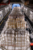 Humanitarian aid supplies loaded by Hawaii Air National Guard into a C-17 Globemaster III Poster Print by Stocktrek Images - Item # VARPSTSTK103272M