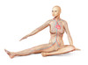 Female body sitting in dynamic posture with circulatory system superimposed Poster Print by Leonello Calvetti/Stocktrek Images - Item # VARPSTVET700044H
