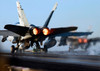 Two F/A-18C Hornets launch simultaneously Poster Print by Stocktrek Images - Item # VARPSTSTK100985M