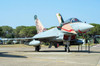 Special color painted Italian Air Force F-2000A Typhoon at Grosseto Air Base, Italy Poster Print by Daniele Faccioli/Stocktrek Images - Item # VARPSTDFC100407M