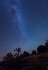 Milky Way rises over a hill of brush and cacti, Kenton, Okalhoma Poster Print by John Davis/Stocktrek Images - Item # VARPSTJDA100049S